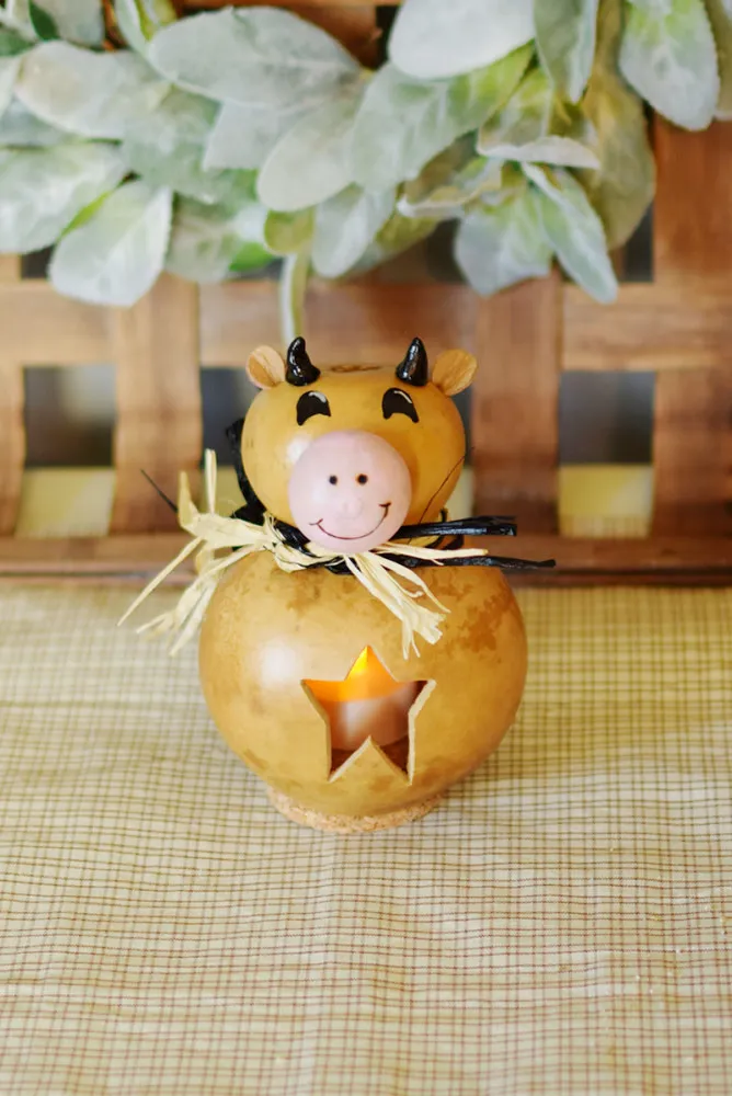 Farm Animal Gourds - Available in Multiple Sizes