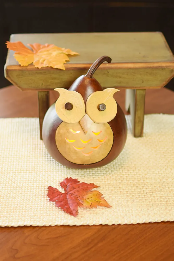 Feathered Friends Gourds- Available in Multiple Styles