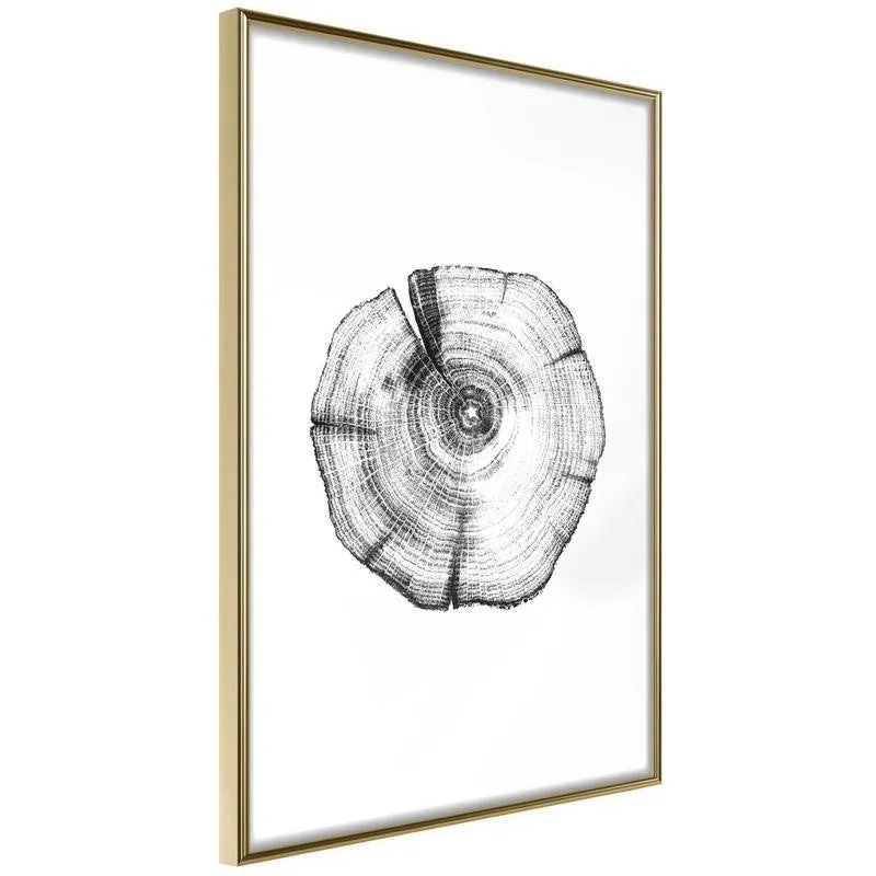 Poster Tree Rings