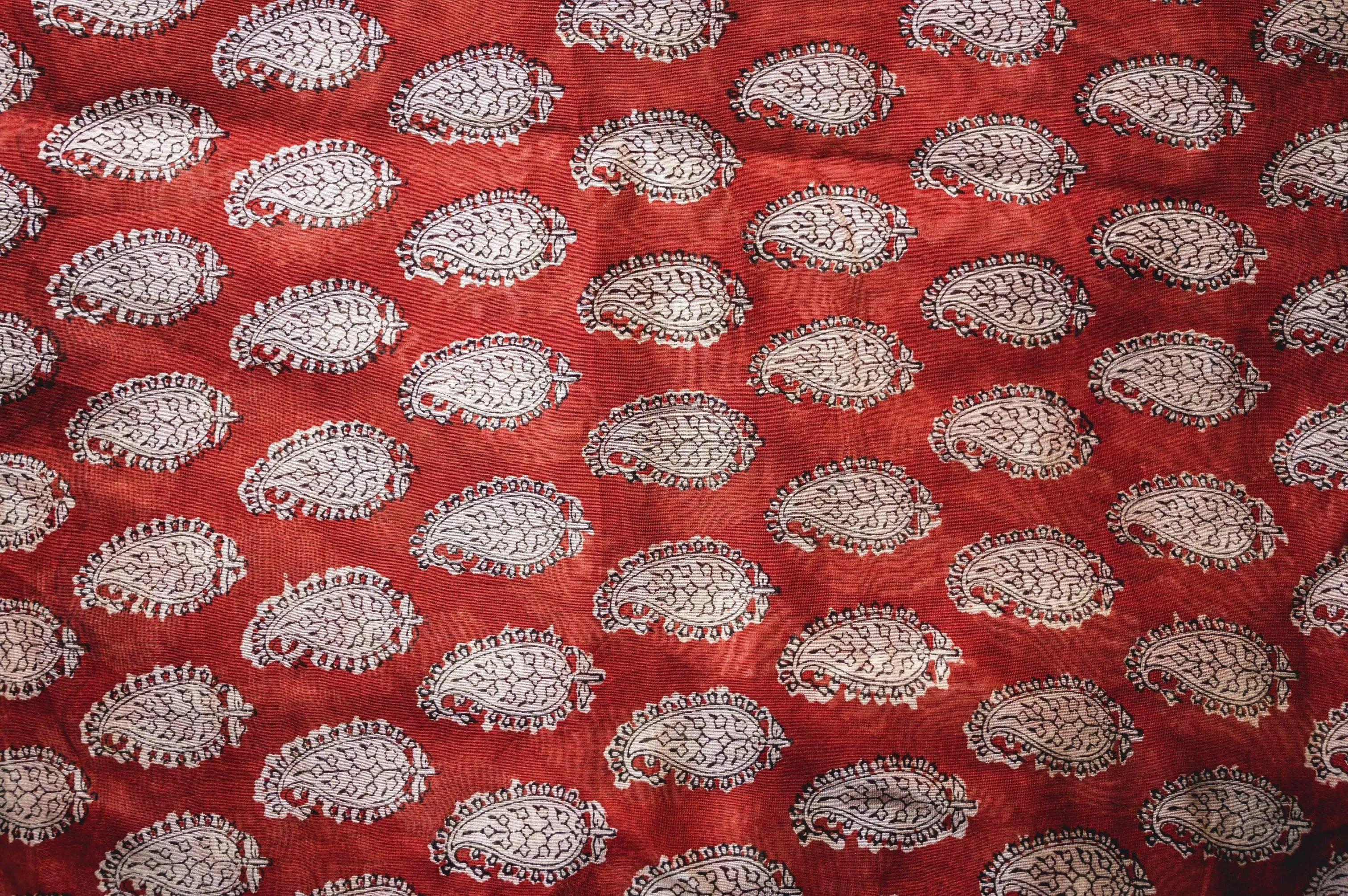 Roheda Kaisori Bagru Kairi block print saree