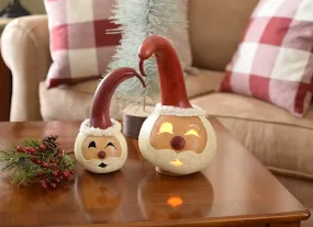 Santa Head Gourd - Available in Multiple Sizes